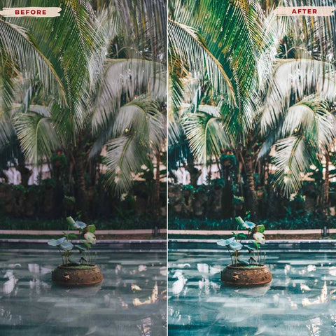 BALI BAY LIGHTROOM PRESETS