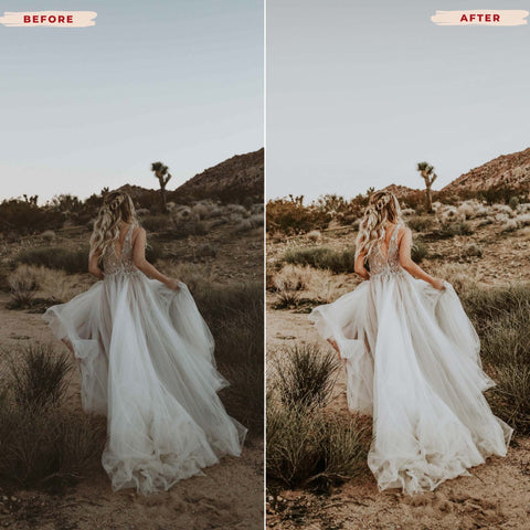 BOHEMIAN DREAM LIGHTROOM PRESETS