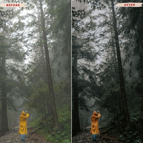 DRAMATIC LIGHTROOM PRESETS