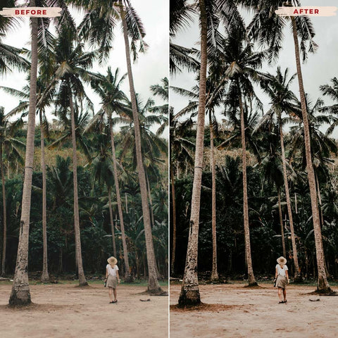 DRAMATIC LIGHTROOM PRESETS