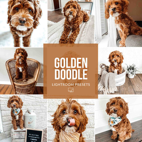 GOLDEN DOODLE LIGHTROOM PRESETS