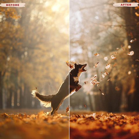 GOLDEN HOUR LIGHTROOM PRESETS