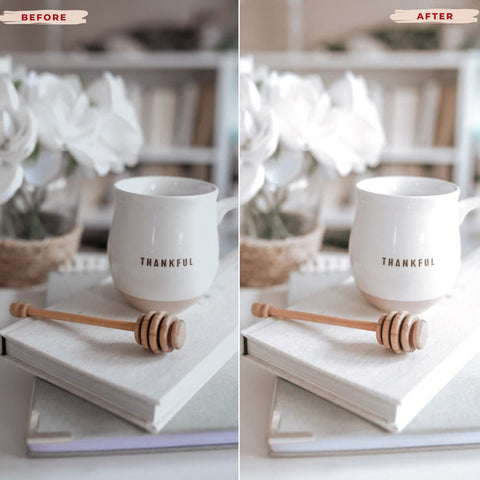 NATURAL LIGHTROOM PRESETS