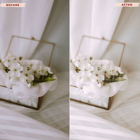 NATURAL LIGHTROOM PRESETS