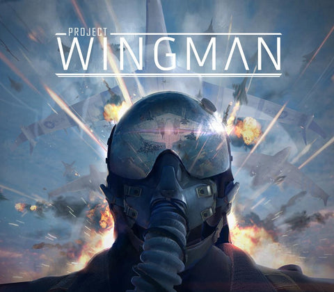 Project Wingman EU Steam CD Key