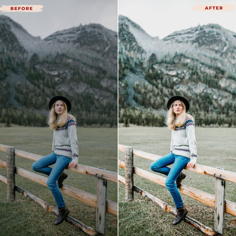 SCANDINAVIAN LIGHTROOM PRESETS