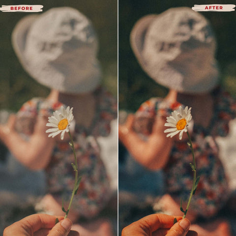 TRUE TONES LIGHTROOM PRESETS