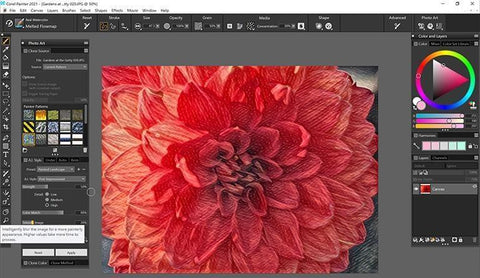 Corel Painter 2021 Digital Art and Painting Windows Multi Language + FREE GIFT