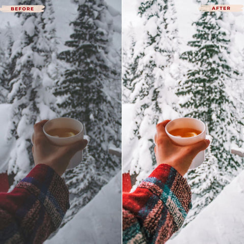 WINTER WONDER LIGHTROOM PRESETS